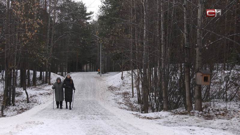 Можно ли найти друзей во взрослом возрасте — рассказала психолог 
