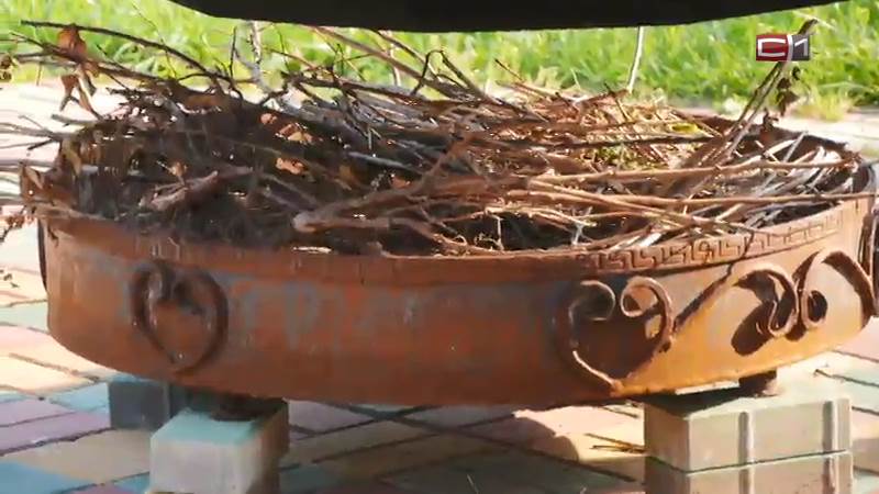 Где можно и нельзя жарить шашлыки — рассказал эксперт