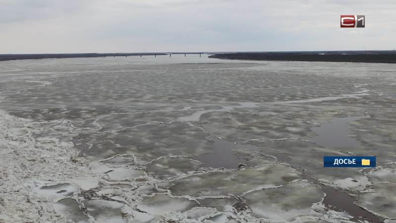 Первые подвижки льда на Оби наблюдают жители Сургута
