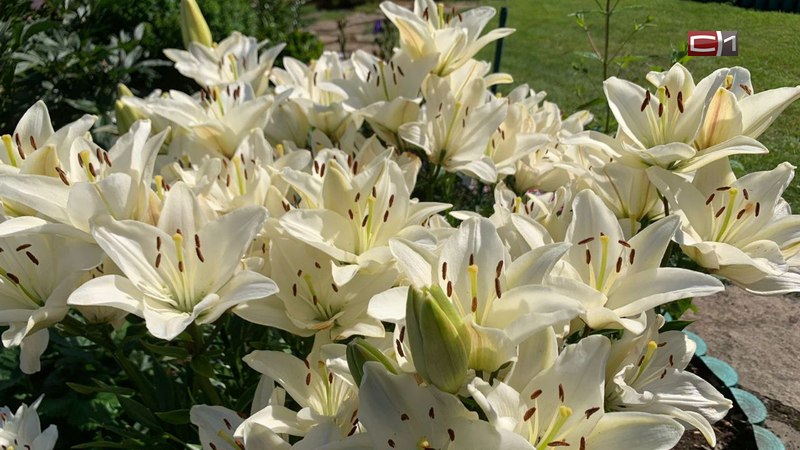 Как отличить аллергию от псевдоаллергии, рассказал доктор медицинских наук