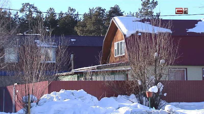 Как защитить растения от весенних заморозков — рассказала эксперт 