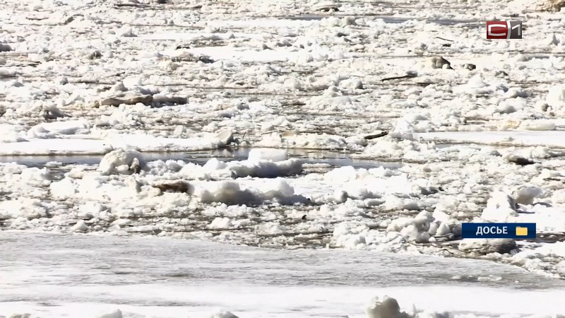 Ледоход может добраться до Сургута уже в эти выходные 