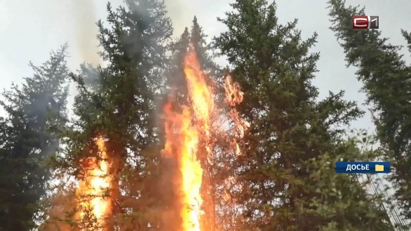 Более 120 ландшафтных пожаров произошло в Тюменской области с начала сезона