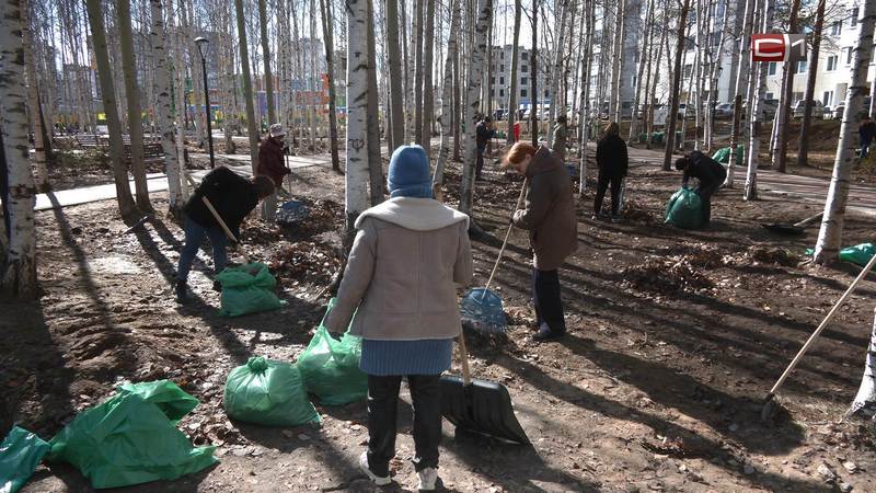 Массовый субботник прошел в сквере 20А микрорайона Сургута