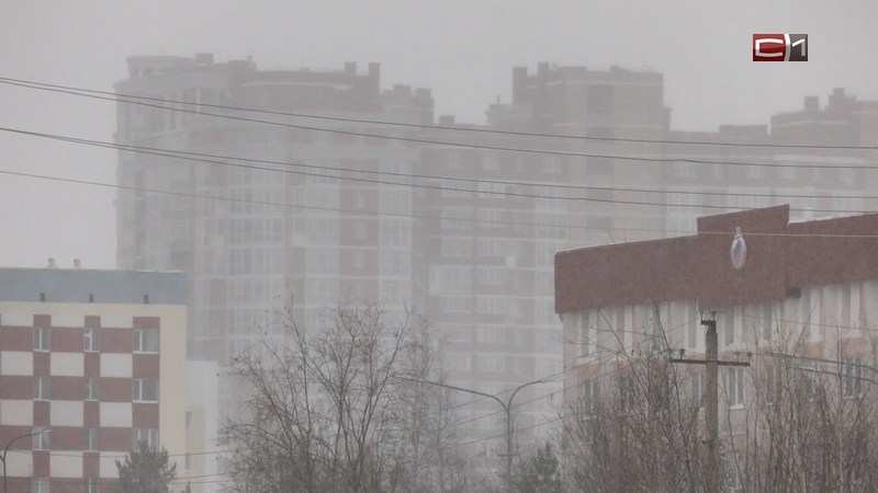 СРОЧНО! В школах Сургута вводят дистанционное обучение из-за непогоды