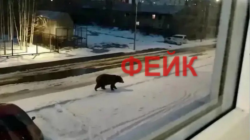 Школьник в Сургутском районе поднял на уши местные власти из-за ИИ-медведя