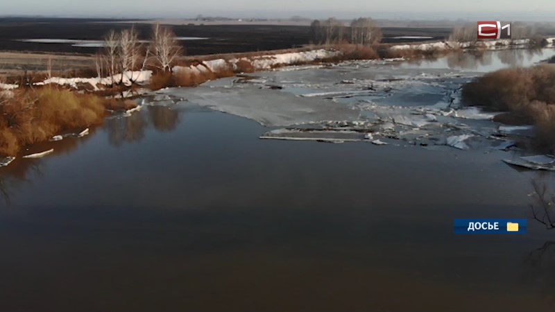 Первый паводок пришел в Тюменскую область