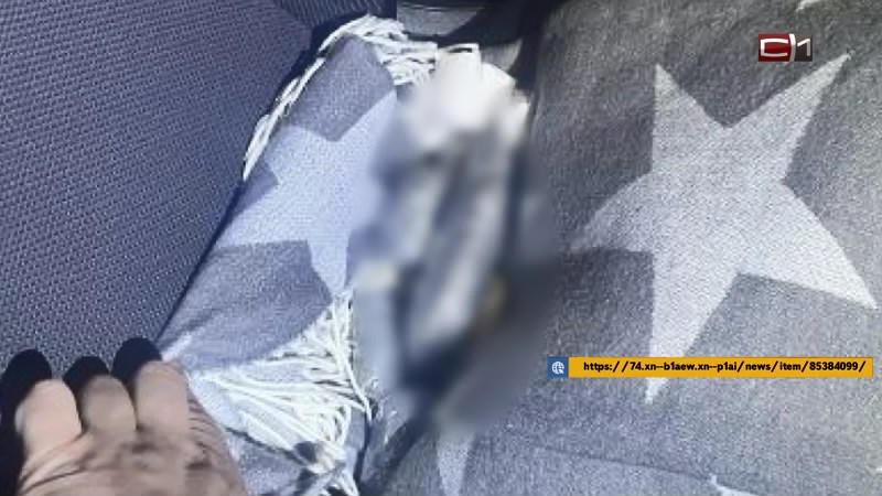 Перевезти два килограмма наркотиков в машине пыталась жительница Сургута