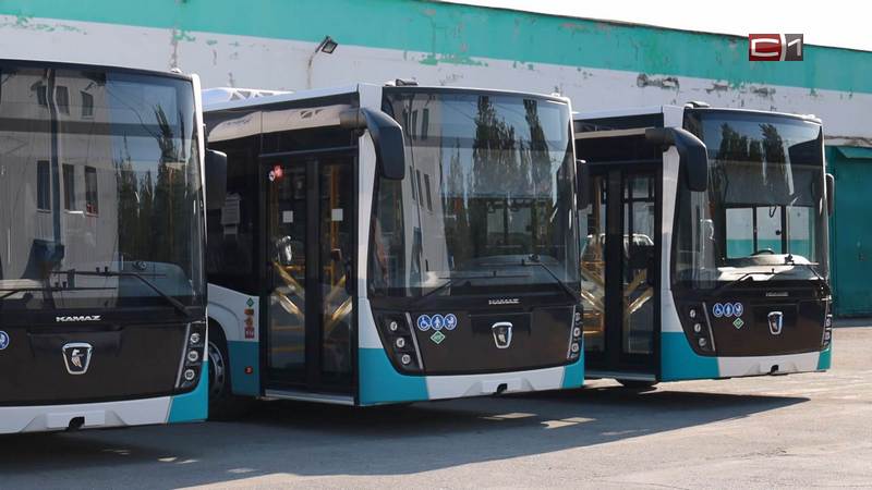 На дороги Сургута вышло 25 новых пассажирских автобусов