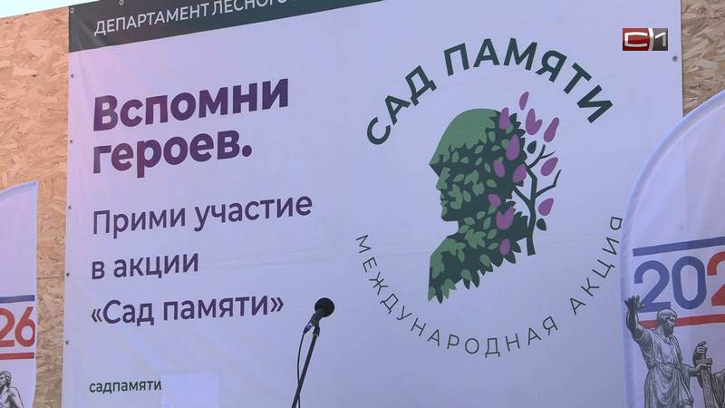 Более 30 тысяч саженцев высадили в Тюменской области в рамках акции «Сад Памяти»