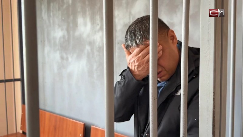 Водителя, сбившего насмерть ребенка в Сургуте, арестовали на 2 месяца