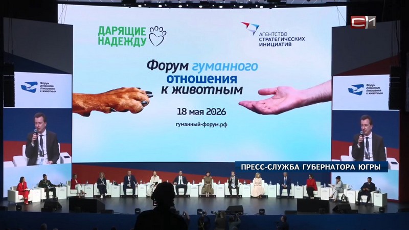 Как власти Югры заботятся о бездомных животных и помогают им обрести семью