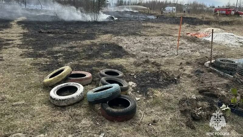 Югорчанина оштрафовали на 40 тысяч рублей за сжигание сухой травы
