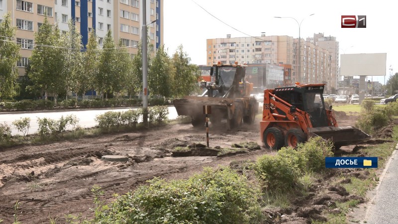 Обновлять газоны и приводить в порядок деревья продолжат в Сургуте в этом году