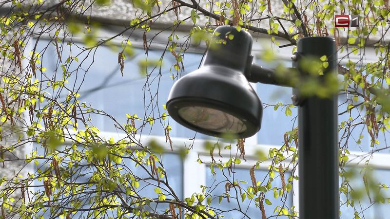 В Сургуте почти полностью распределили средства депутатских фондов