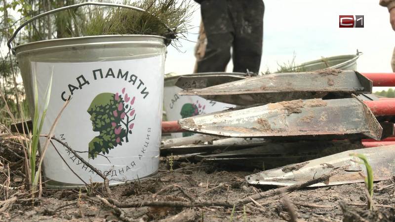 16 тысяч саженцев высадили югорчане в рамках традиционной акции «Сад памяти»