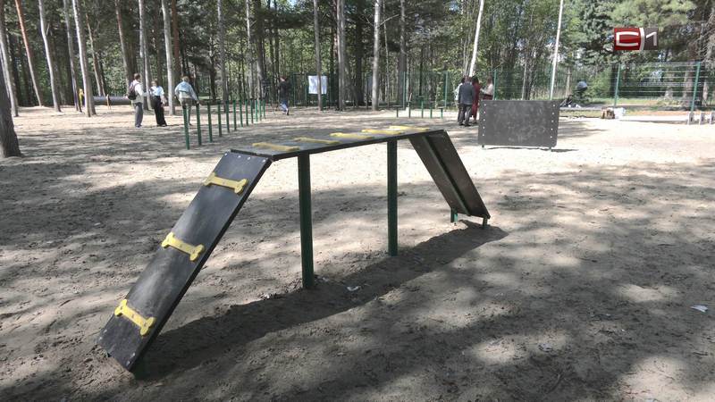 Самую большую в Сургуте площадку для выгула собак оборудуют новым освещением