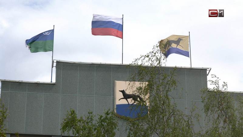 Итоги предварительного голосования «Единой России» подвели в Югре