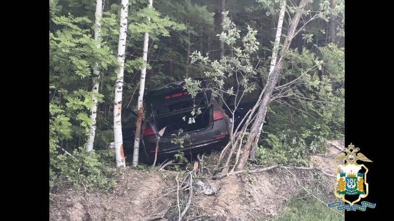 Лось выбежал на трассу в Югре — в ДТП погибла 21-летняя девушка