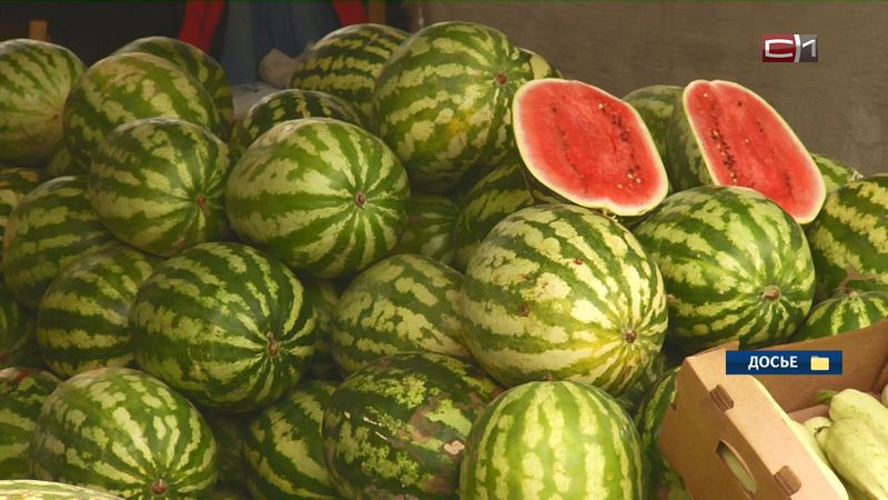 Для кого арбузы и дыни летом могут быть опасны