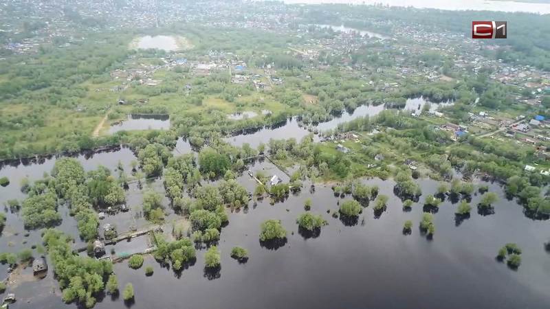 Около сотни дачных участков затопило в Югре из-за паводка