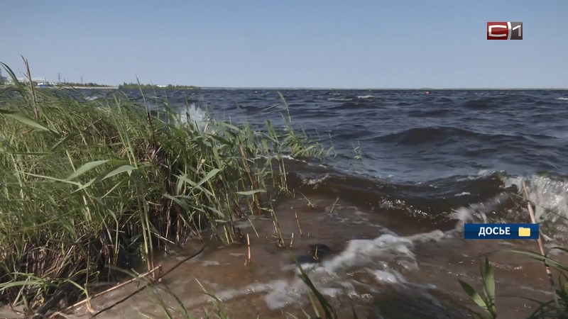 В Югре с начала купального сезона утонули 24 человека