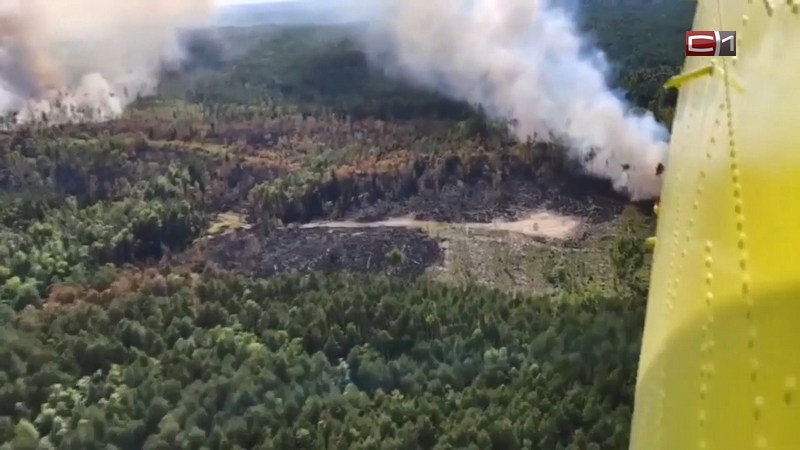 Два лесных пожара на площади 4,5 тысячи гектаров бушуют в Югре