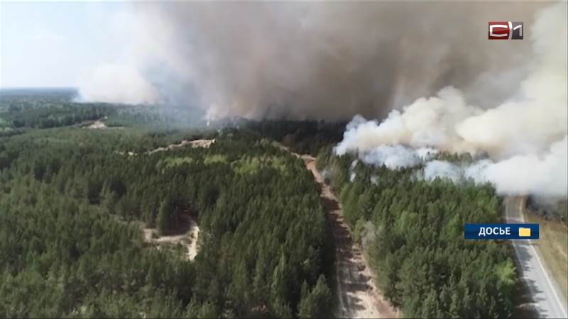 Площадь лесных пожаров в Югре за сутки сократилась почти на 95 процентов