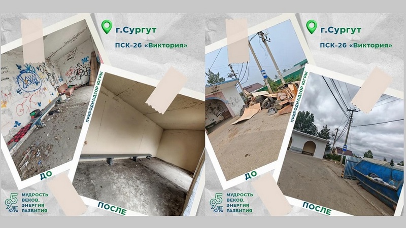 Сургутянка смогла наказать водителей, заваливших крупным мусором остановку