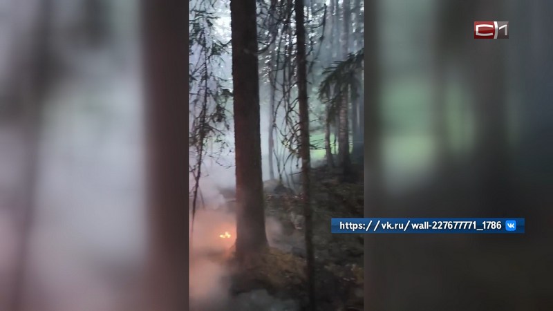 Пожарные показали, как тушат леса в Югре