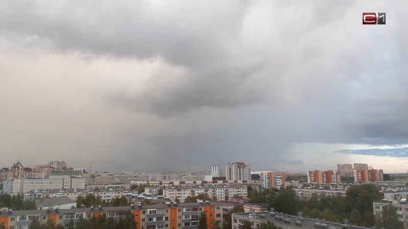 Дождливую неделю обещают жителям Сургута синоптики