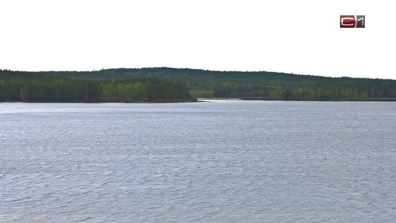 Теплоход «Заря» с пассажирами на борту сел на мель в Югре