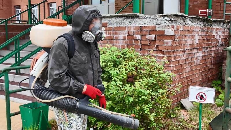 Финальный этап обработки от клещей начали в поселениях Сургутского района