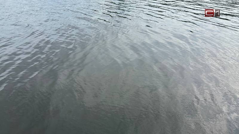 Мужчина утонул во время отдыха на Оби в Сургутском районе