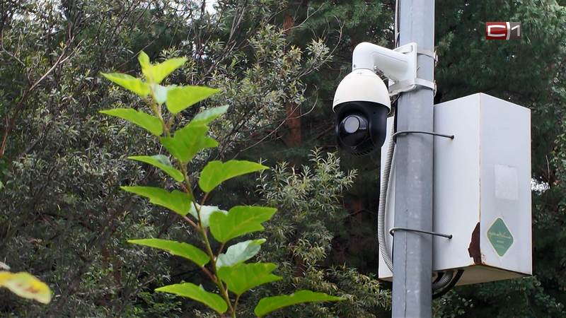 Полная безопасность: в сургутском парке «За Саймой» установят 450 новых камер