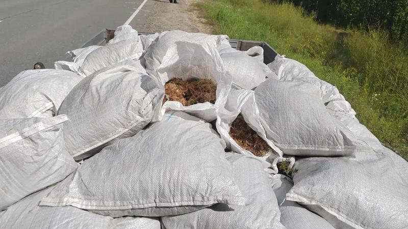 Думали, черные шишкари: подозрительное авто заметили на трассе в Югре