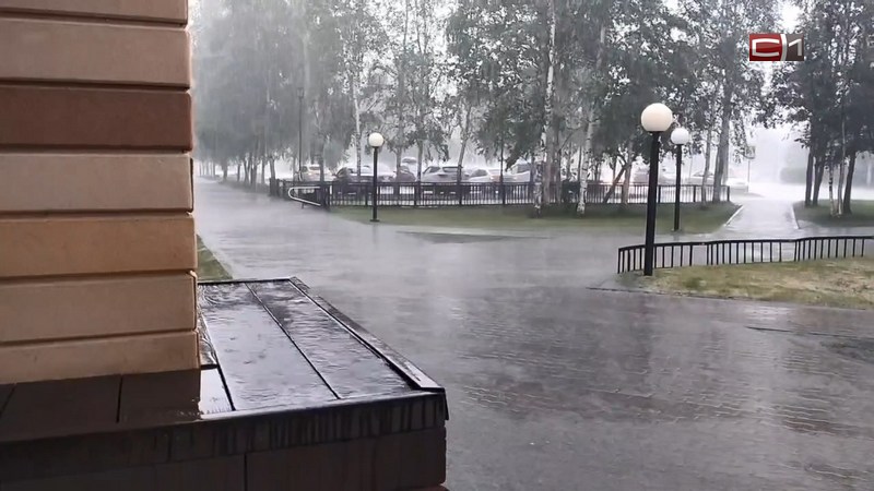 Сильный дождь и гроза ожидаются в западной части Югры