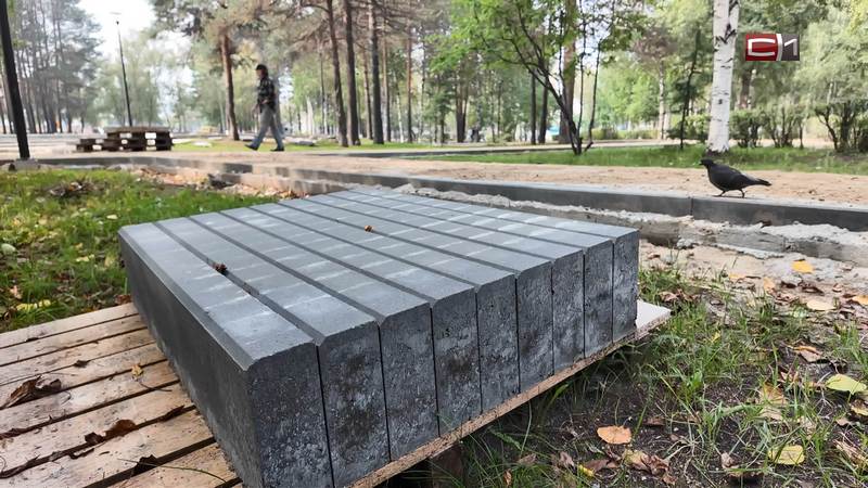 Новые дорожки, урны и освещение: как изменился сургутский сквер Дружбы народов