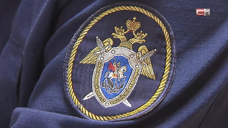 СК проверяет информацию об избиении девочки в Сургутском районе