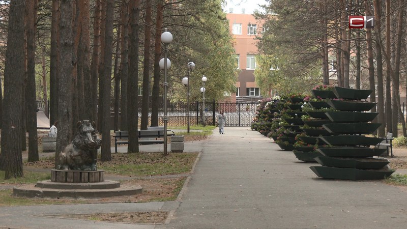 В Сургуте ищут подрядчика для благоустройства сквера Энергетиков