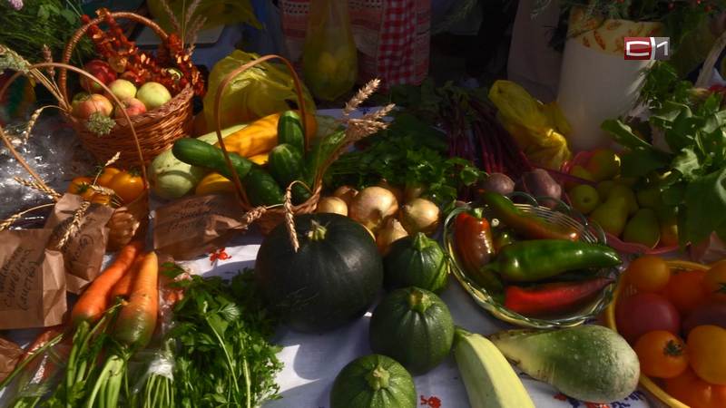 Чем полезны кабачки и можно ли есть их в больших количествах