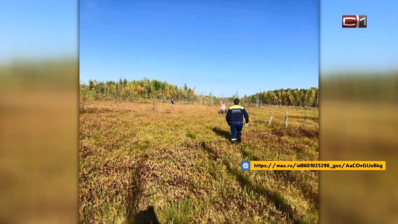 Спасатели помогли двум женщинам, застрявшим в болоте в Югре