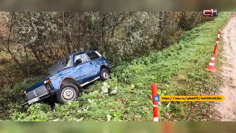 Вылетел в кювет и погиб водитель в Тюменской области