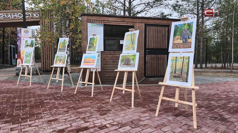 Юные художники написали десятки осенних пейзажей на Барсовой горе