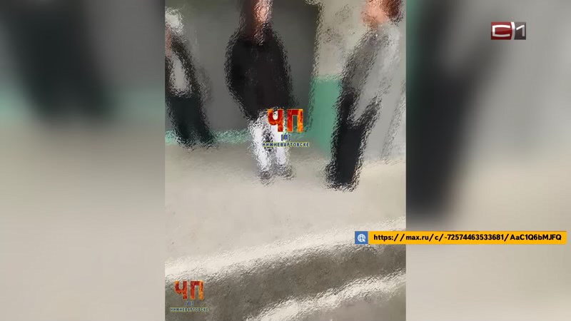 В Югре две школьницы избили девушку — СК организовал проверку