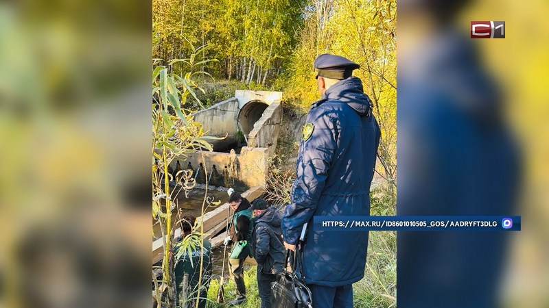 Очищение протоки Бардаковка от нефтепродуктов организовали в Сургуте