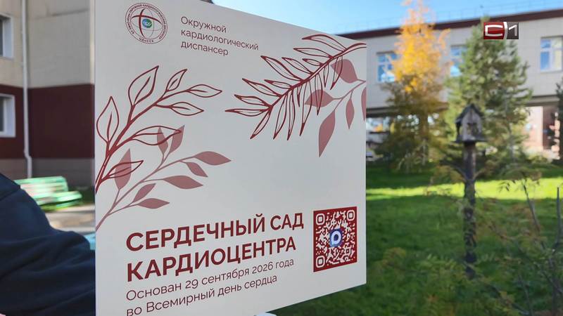 Рябина, облепиха и калина: сургутский «Сердечный сад» стал разнообразнее