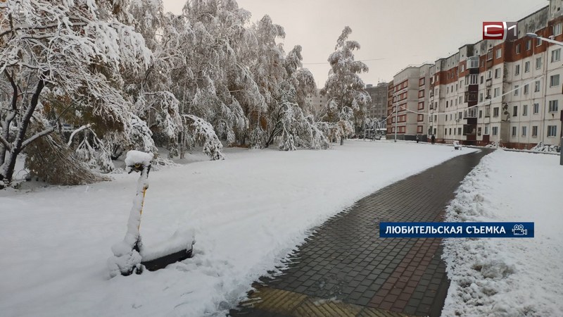 Валило почти сутки: как в Сургуте встретили первый снегопад