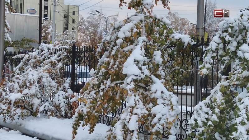 В ГАИ призвали сургутян сменить летнюю резину на зимнюю