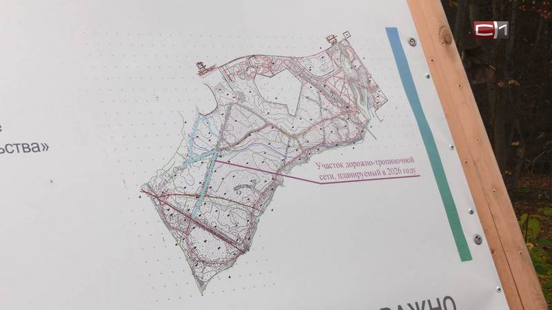Обустройство тропинок в сургутском парке «За Саймой» закончат к концу года